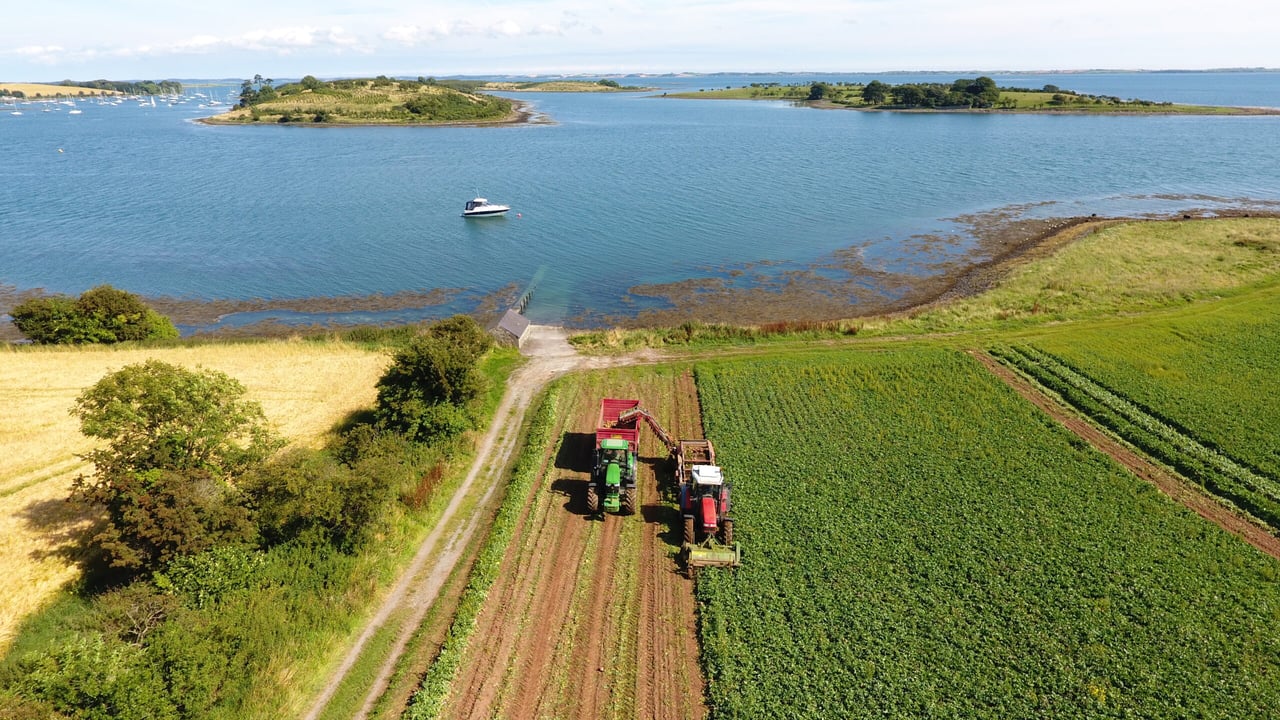 Bracing for Brexit: Innovative veg exporter details plans