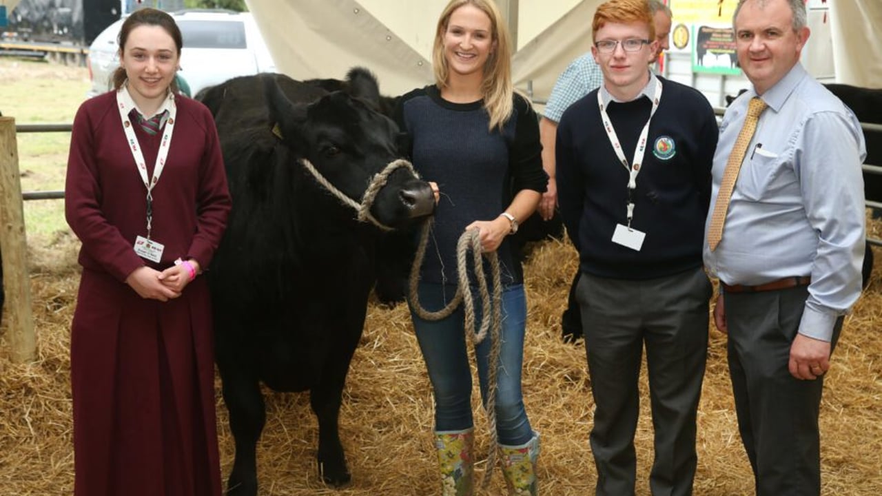 Applications now welcome to Irish Angus schools competition