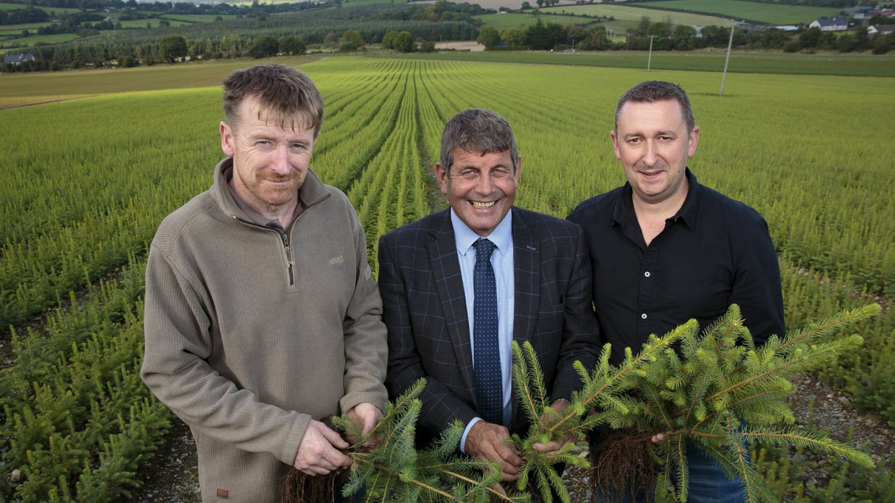 John Kavanagh and Teige Ryan, None-So-Hardy Forestry, with Minister of State at the Department of Agriculture, Food and the Marine, Andrew Doyle