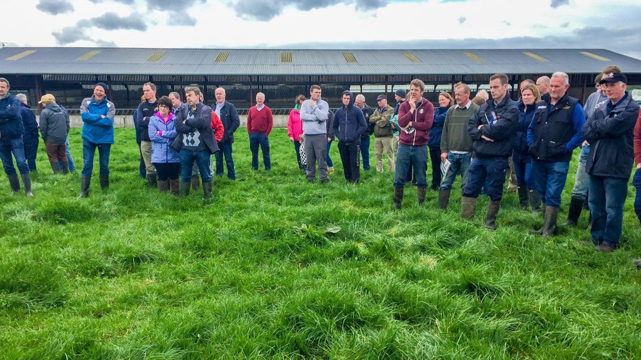 Meath farm walk to focus on benefits of farming sustainably