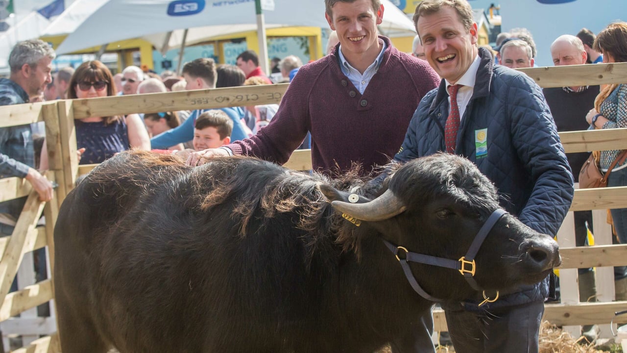 John Heslin,  Westmeath footballer with Richard Moran, chairman, Agri Aware, and Susie, the buffalo, during the National Ploughing Championships Image source: Pat Moore