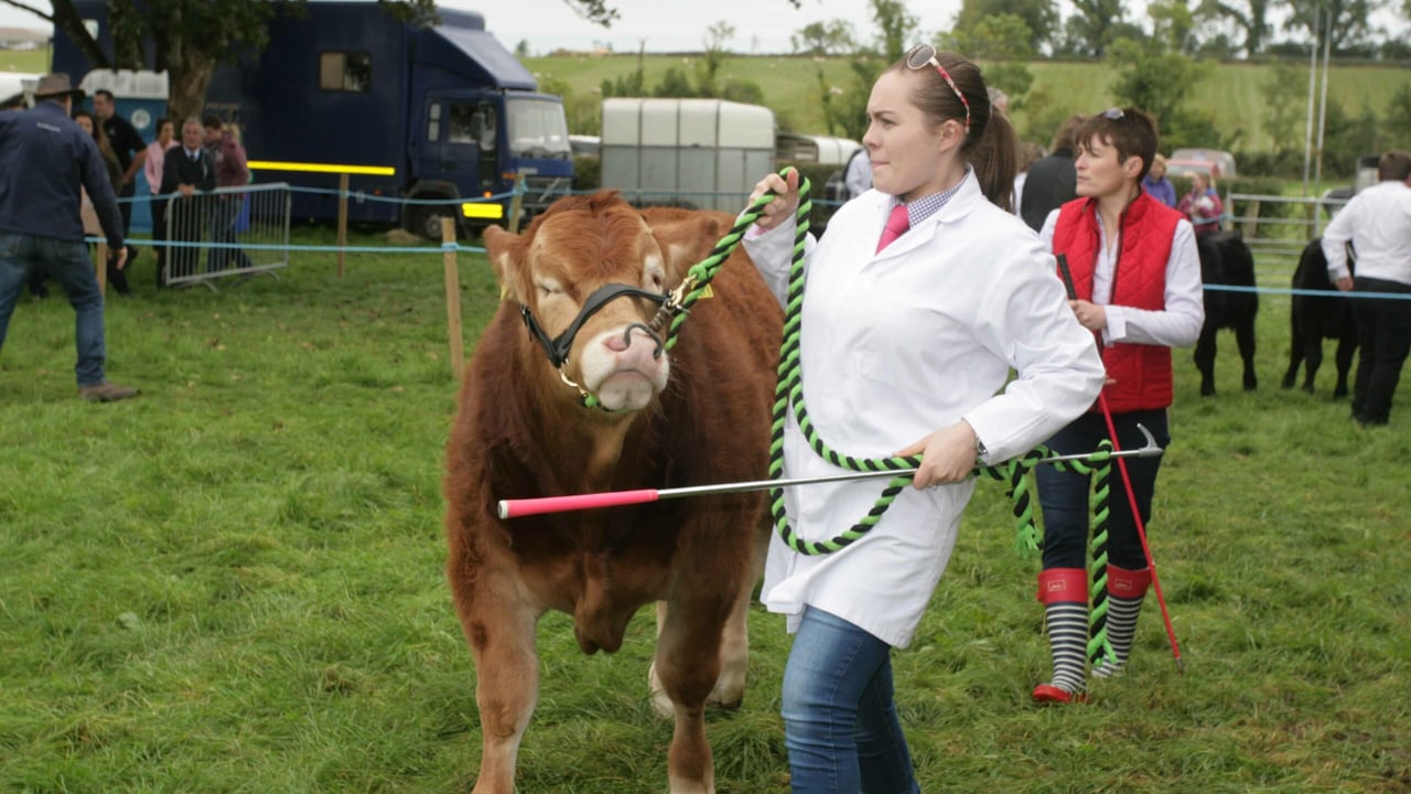 Agricultural show in the west of Ireland enters its 113th year