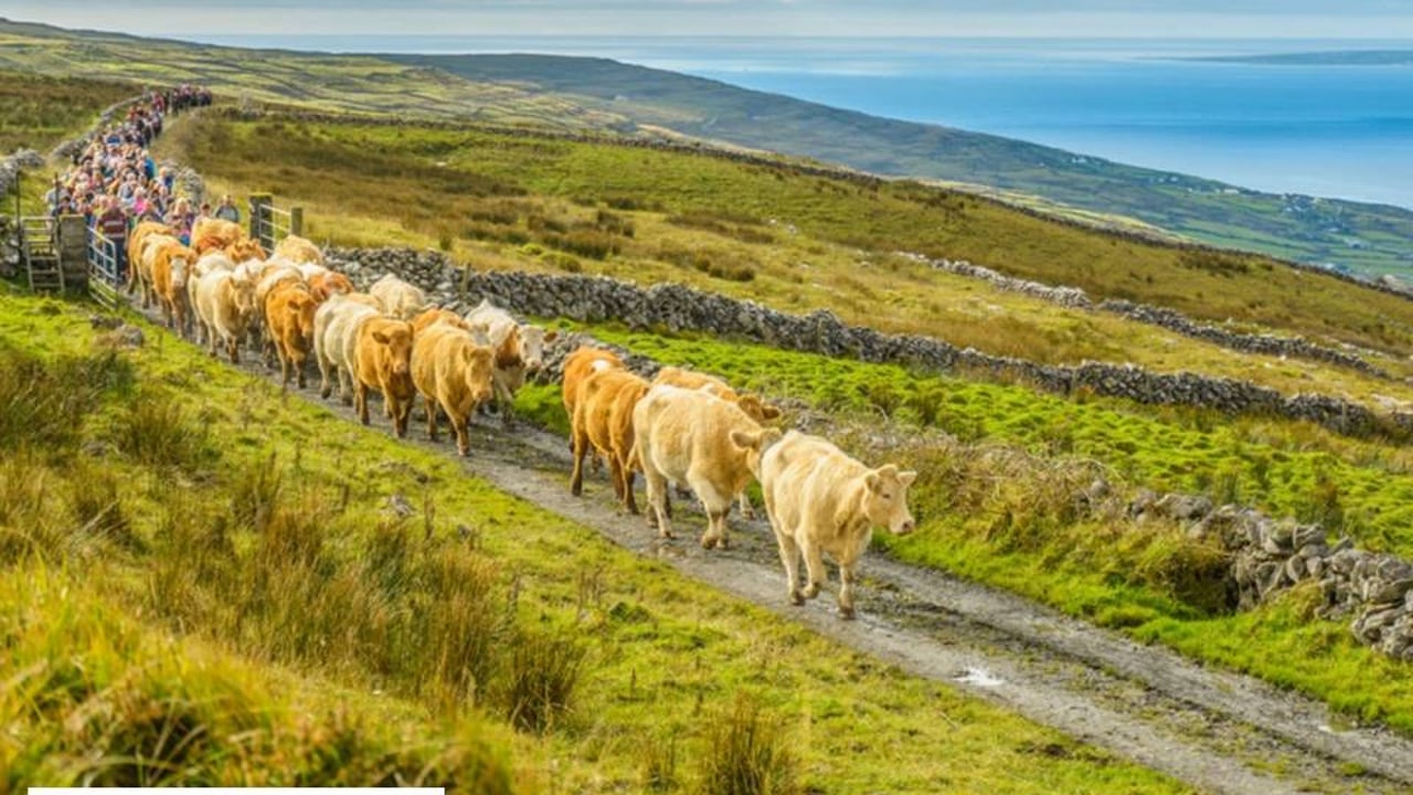 Image source: BurrenBeo Trust