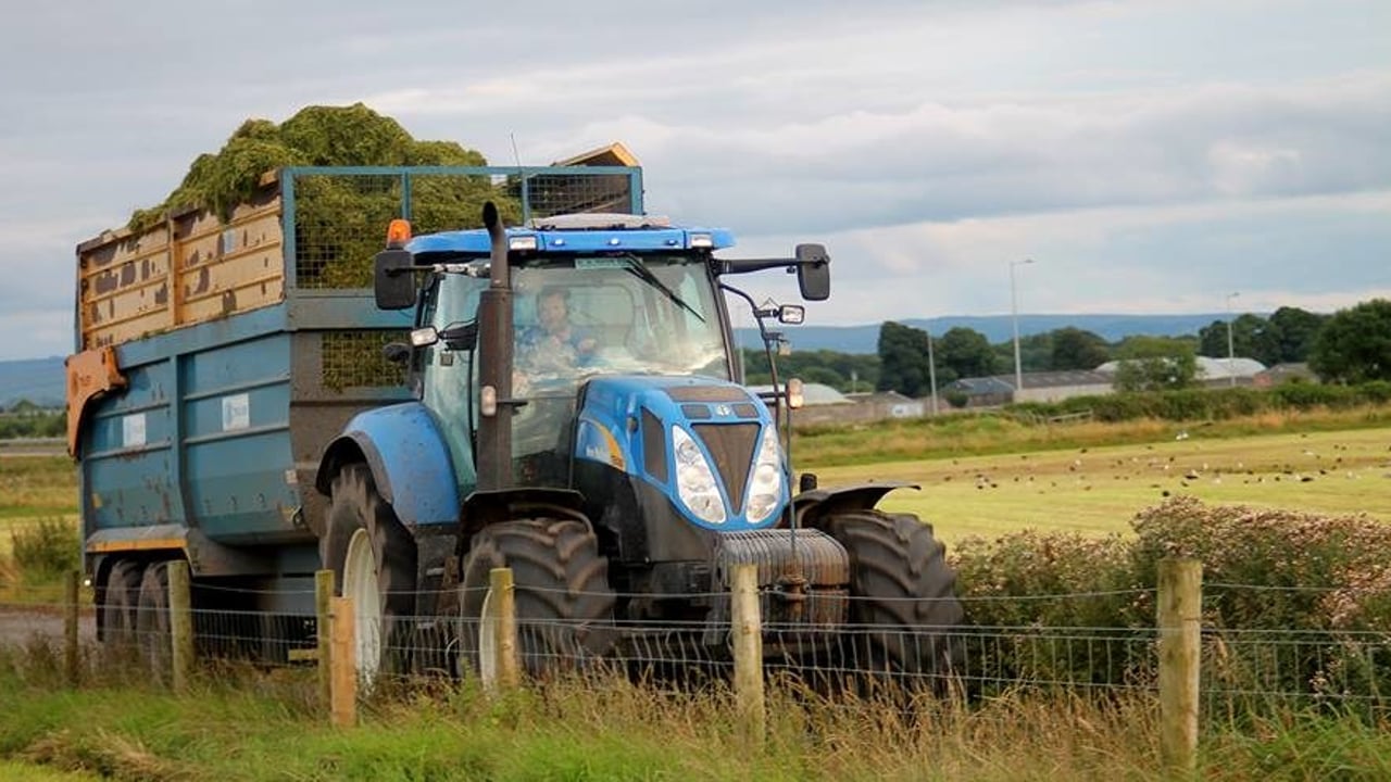 Image source: Galway Agri Videos / Conor Ryan