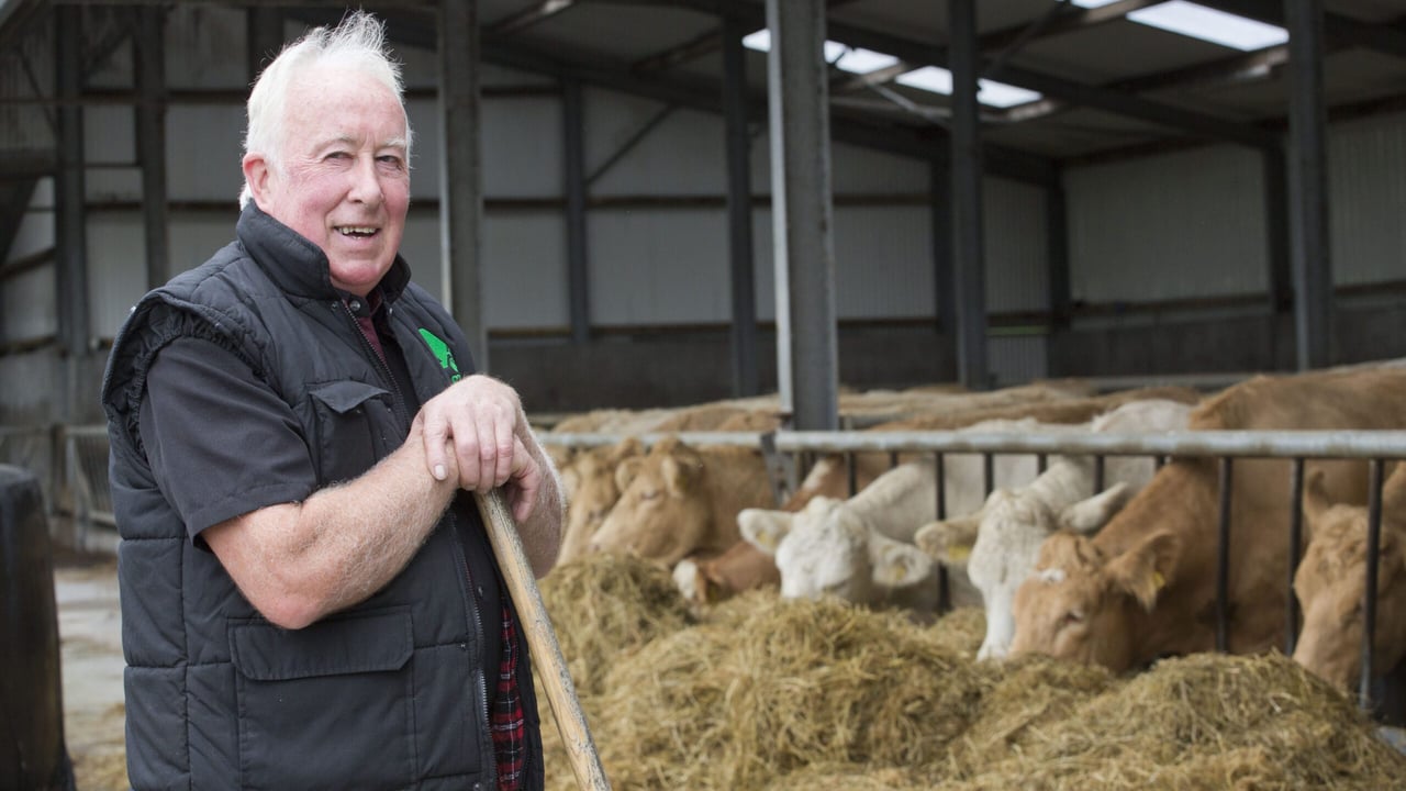 Progressive suckler farming in the heart of the Burren
