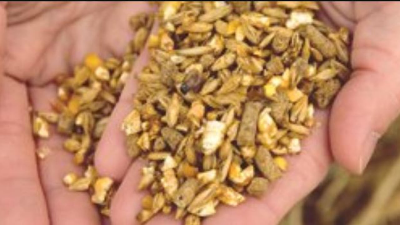 Could you use €1,000 worth of GAIN Animal Nutrition feedstuffs on your farm?