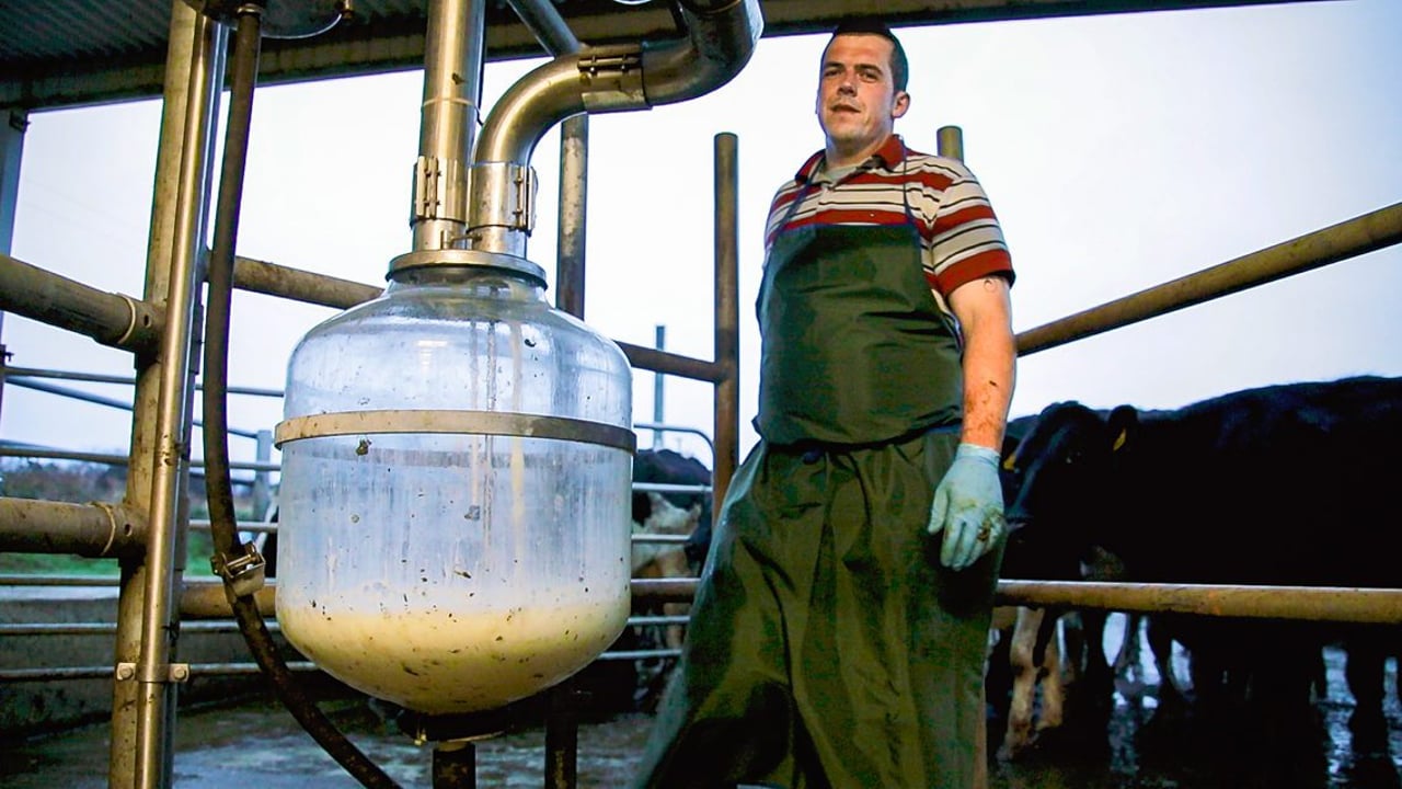 Progressive farmer focus: Share farming the order of the day in Bandon