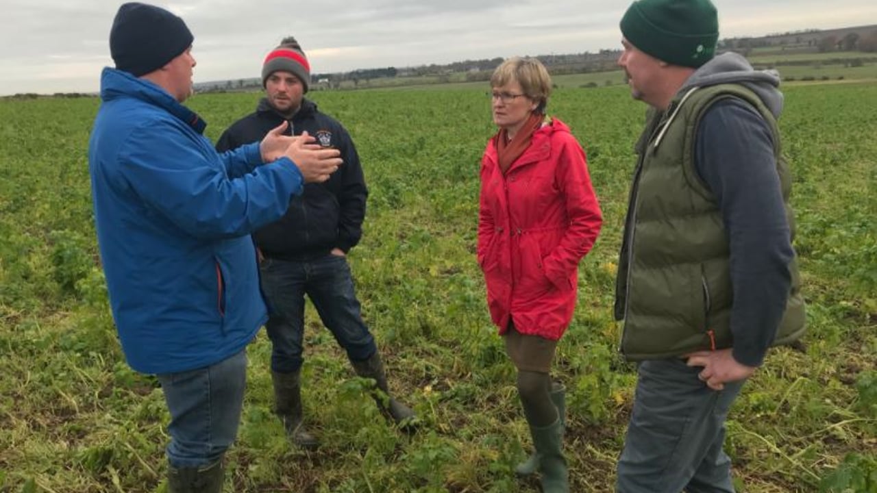 'Conservation agriculture has a role to play in future European farming'