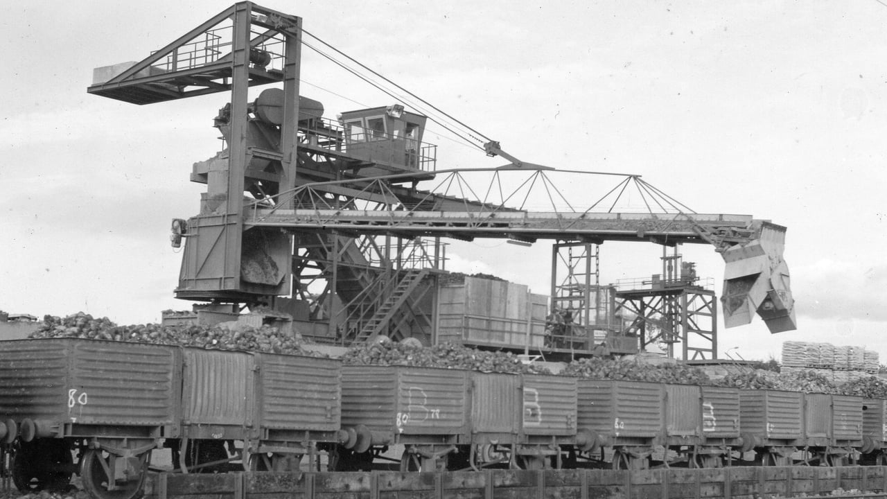 Wellington Bridge beet depot, Co. Wexford, circa 1940