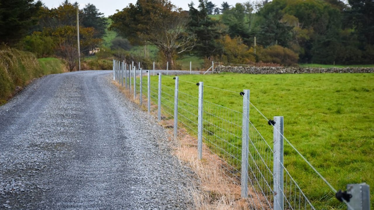 Explore top sheep and cattle handling systems with Clipex at Tullamore