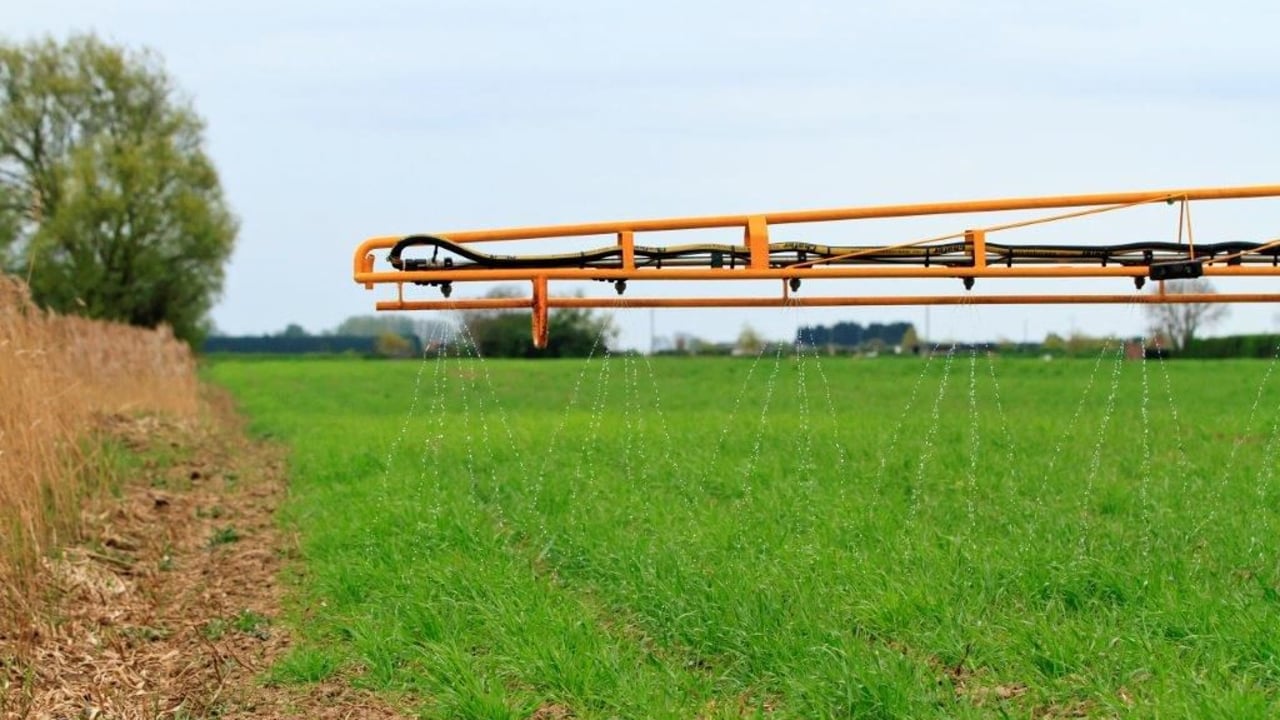 FAO: Govts should have targets to reduce nitrogen