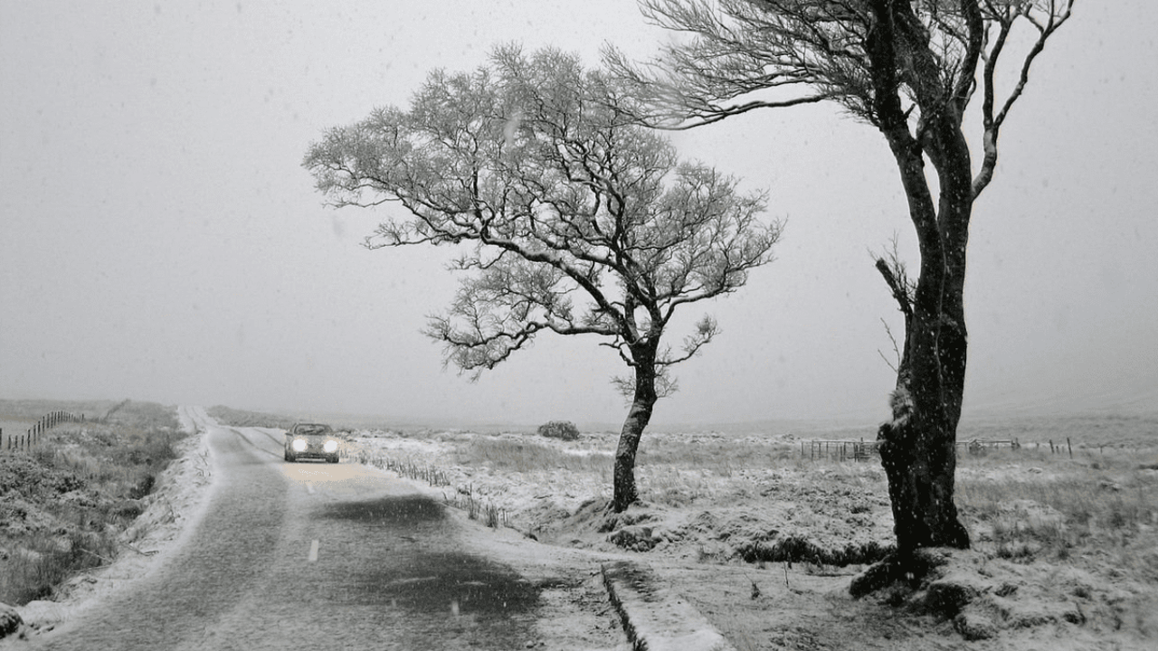 Image source: AA Roadwatch Twitter page