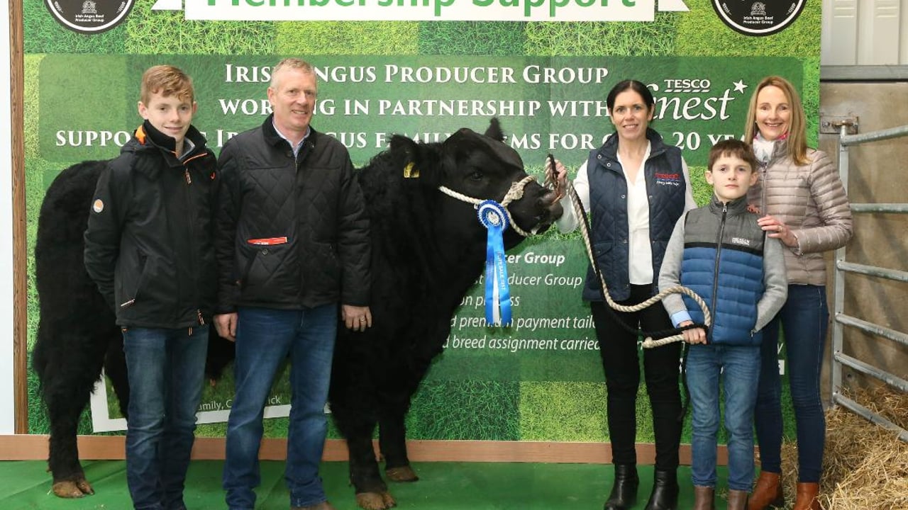 Daniel, Denis, Ross and Anne Marie Donovan with Tracey McDermott, Tesco Ireland (third from left) at the Irish Angus Elite Sale