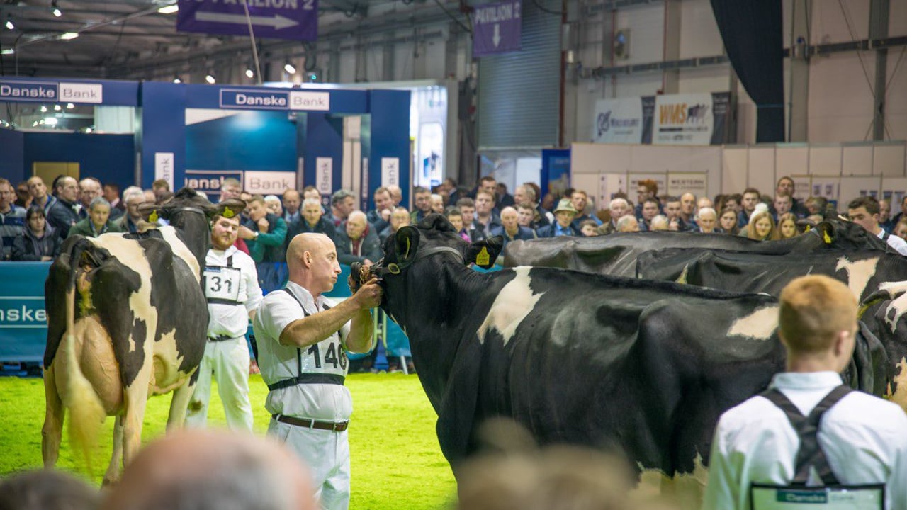 Winter Fair: Full results, pictures and video highlights