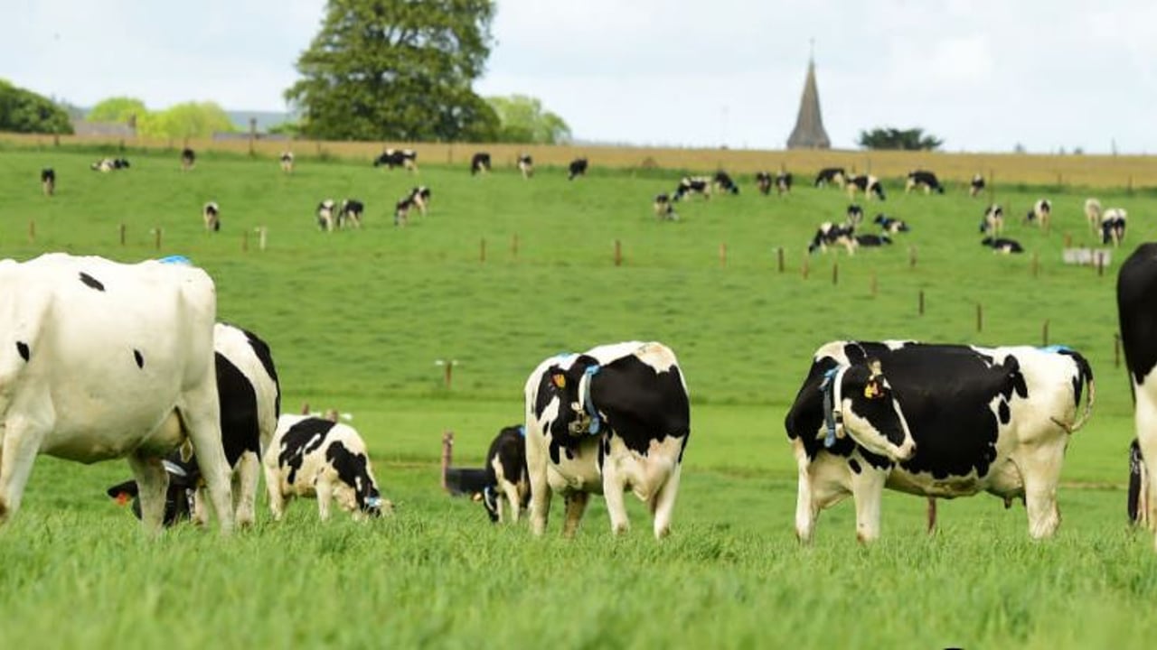 Image source: Teagasc