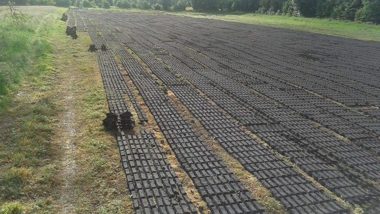 Over €28 million paid out under the Cessation of Turf Cutting Compensation Scheme