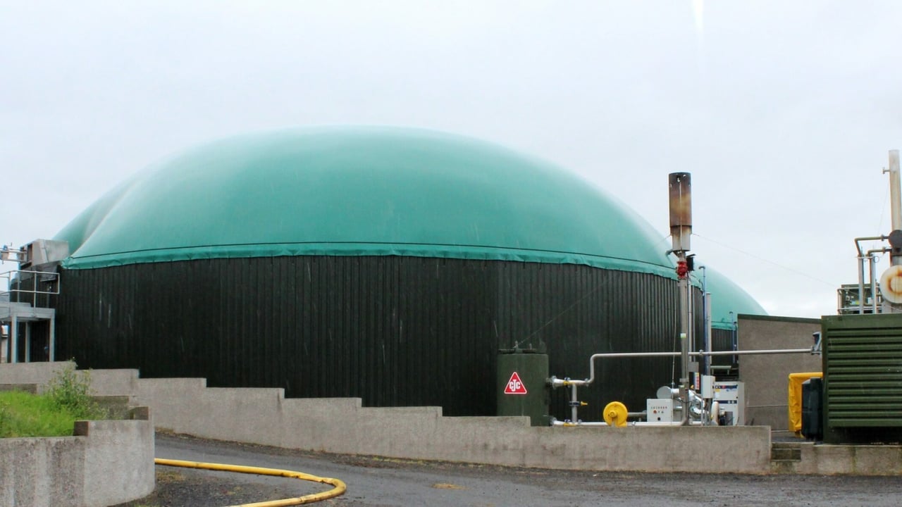There is absolutely no need for a new sugar plant in Carlow