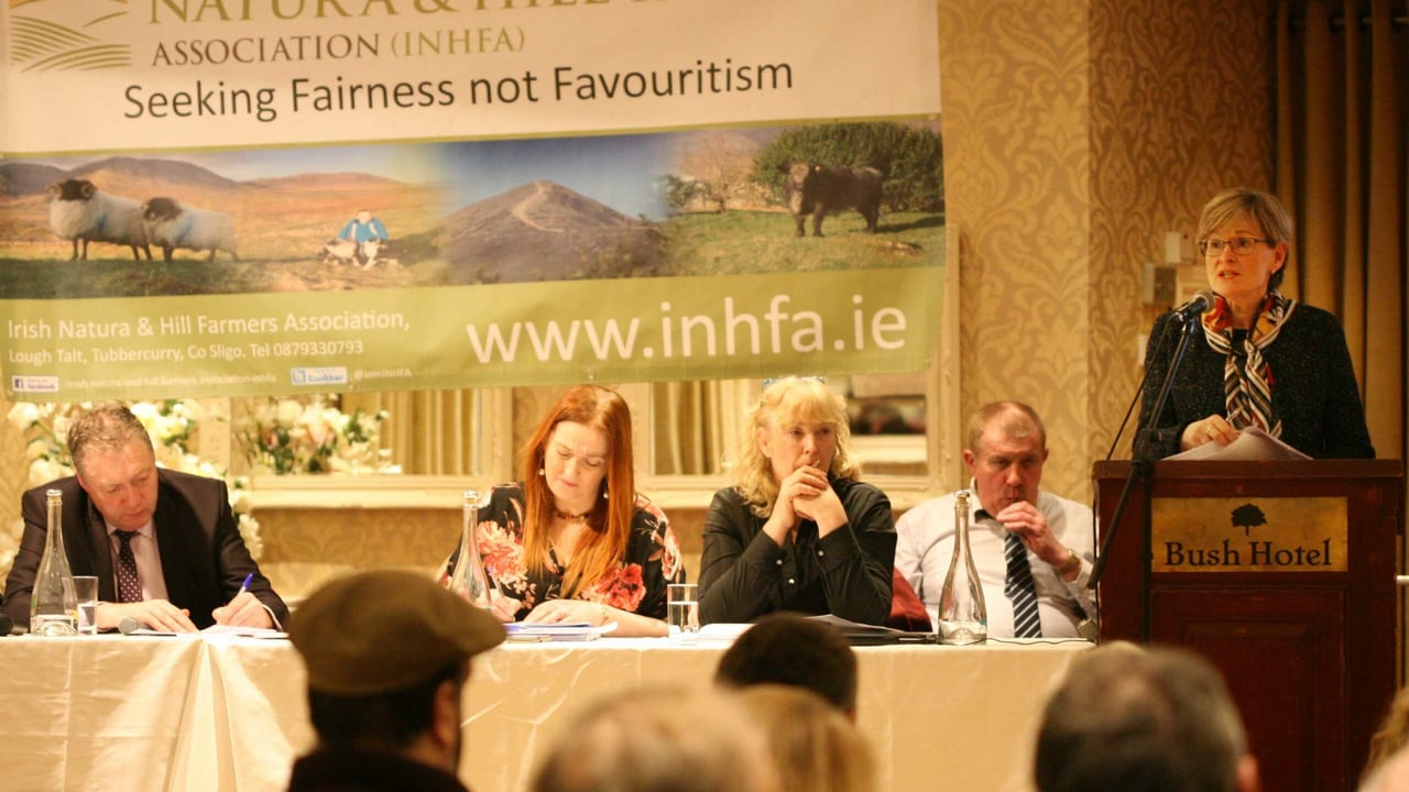 Mairead McGuinness MEP addresses the INHFA forestry conference. Image source: Brian Farrell