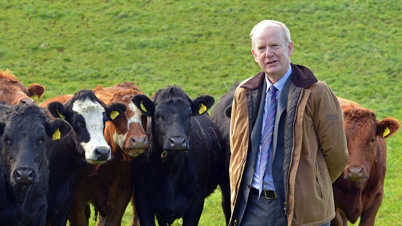 AFBI CEO Dr. Sinclair Mayne