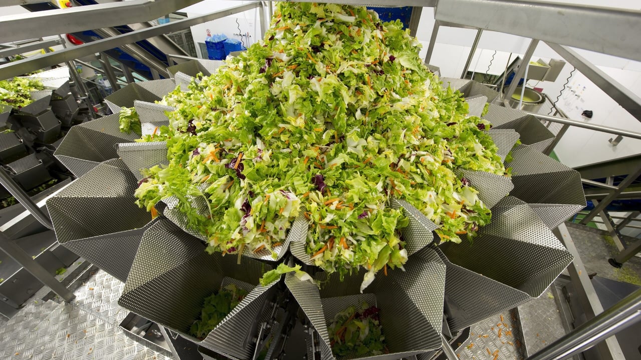 Salad giant Willowbrook secures €2.5m of additional business in ROI