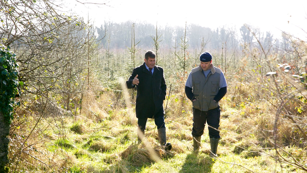 Niall Dempsey with Minister Doyle at his Oak plantation in Craughwell, Co. Galway