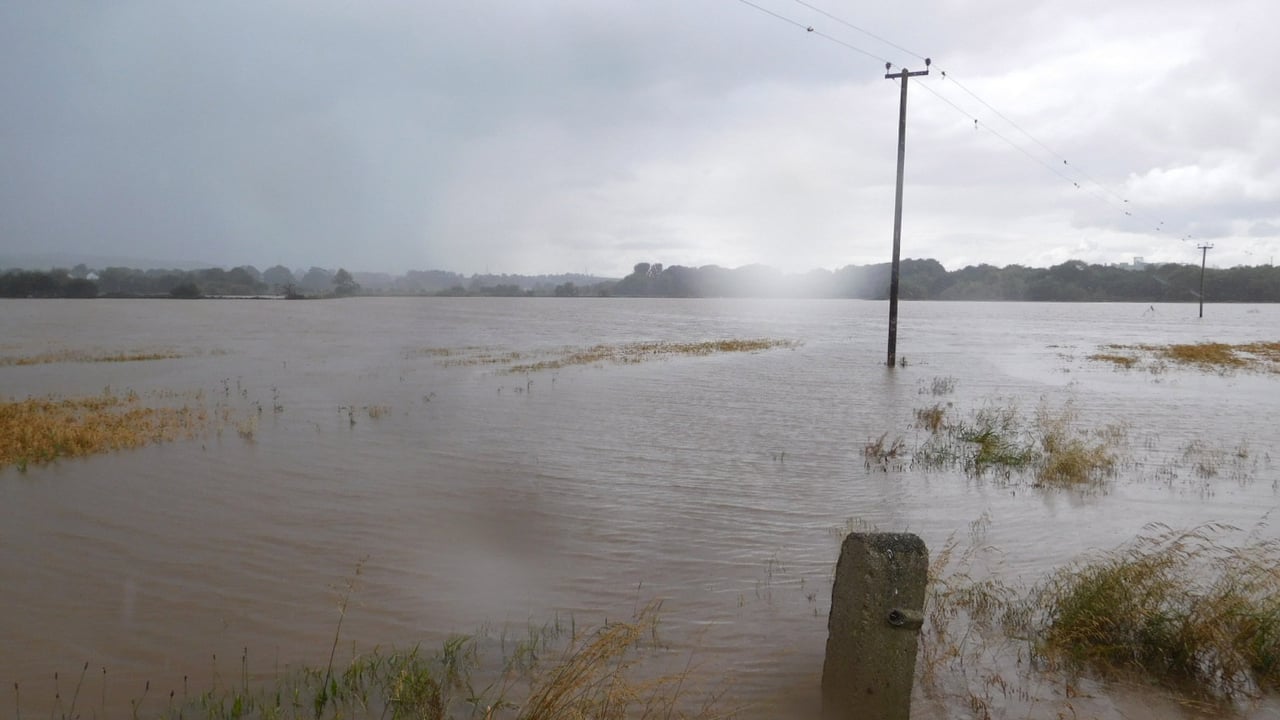 Weather: Unsettled wet conditions as Storm Ciarán approaches