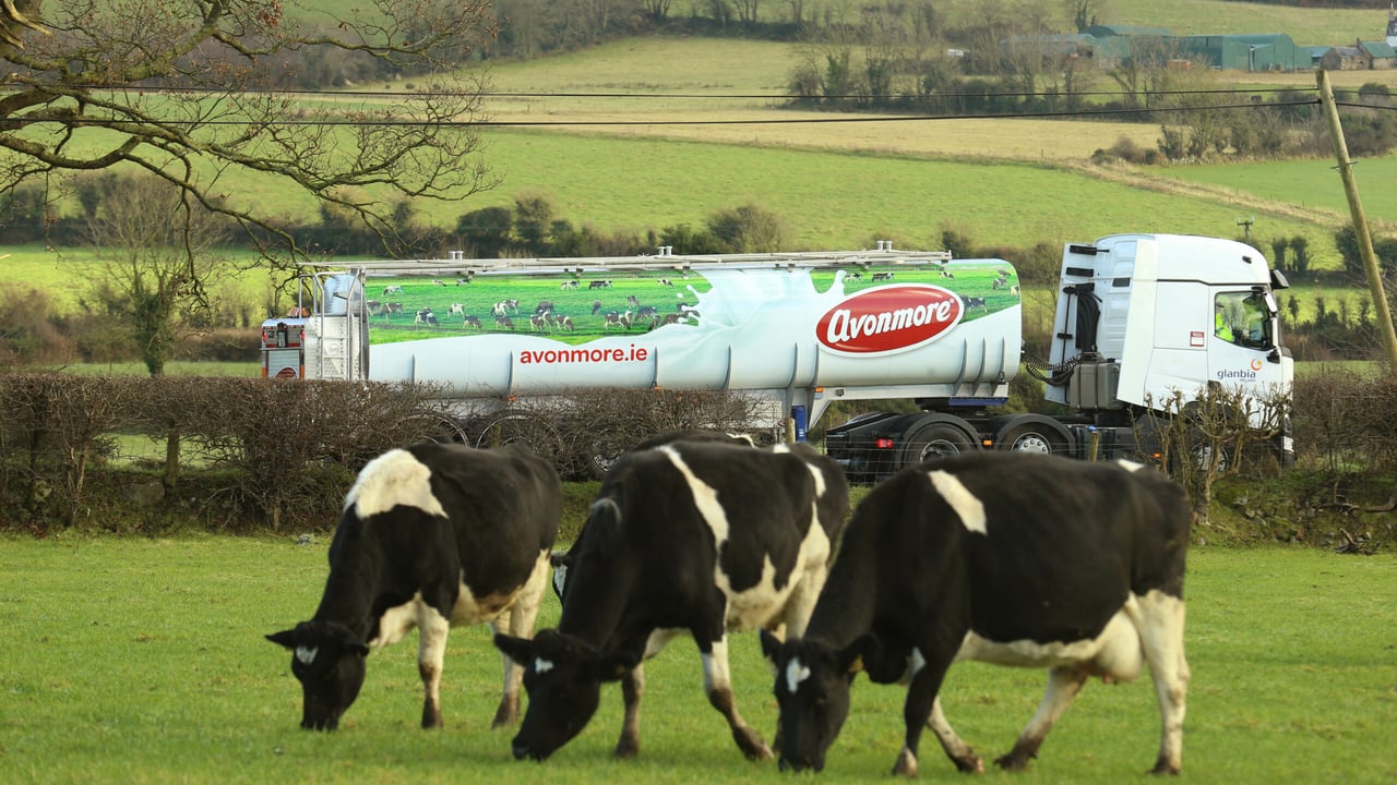 Glanbia issues advice and helpline for farmers as drought continues