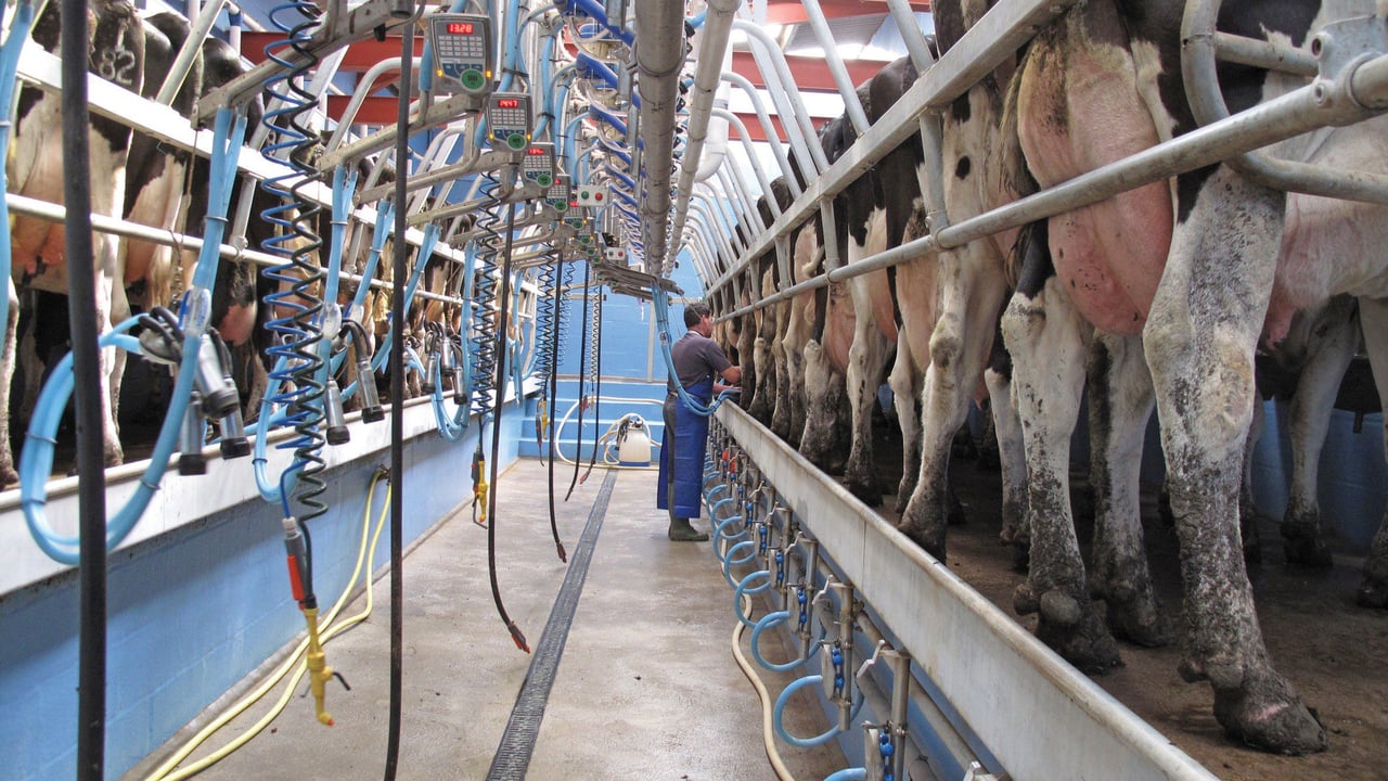 Milk Price Tracker: Negative trend continues for May supplies