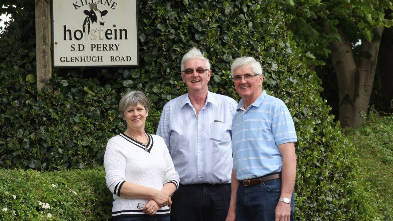Big change in Holstein UK as NI-born president ends term and new CEO appointed