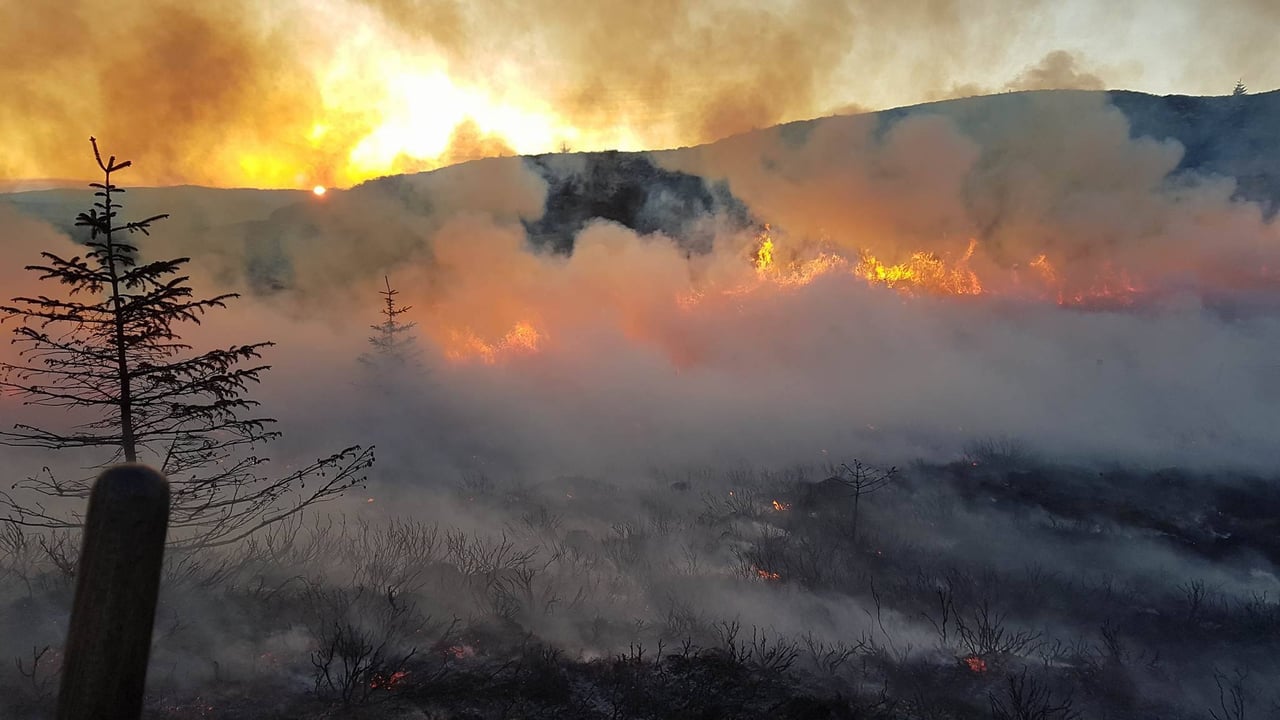 DAFM extends 'condition orange' high fire risk warning by one week