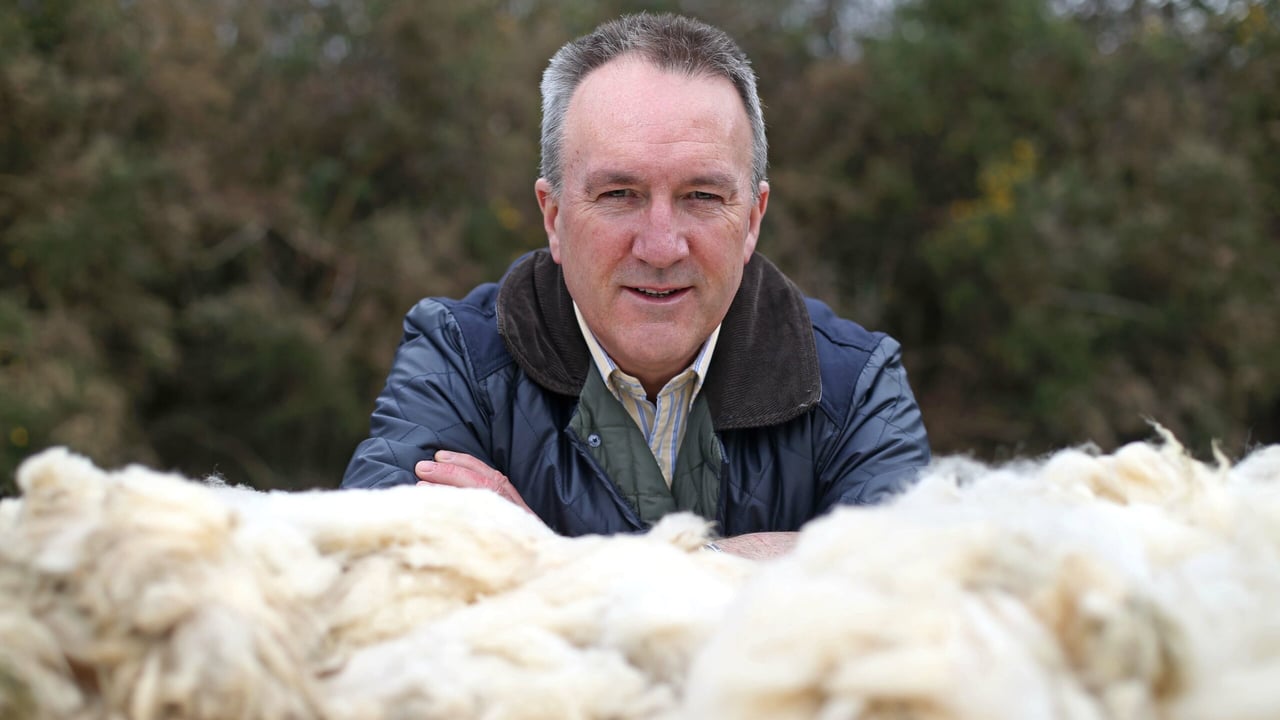 Vice chair of British Wool, Brendan Kelly