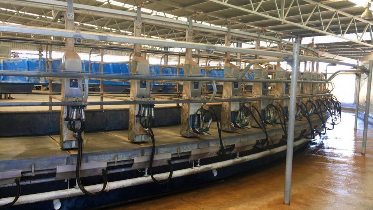 Oz dairy farmers welcome move to address retail pricing