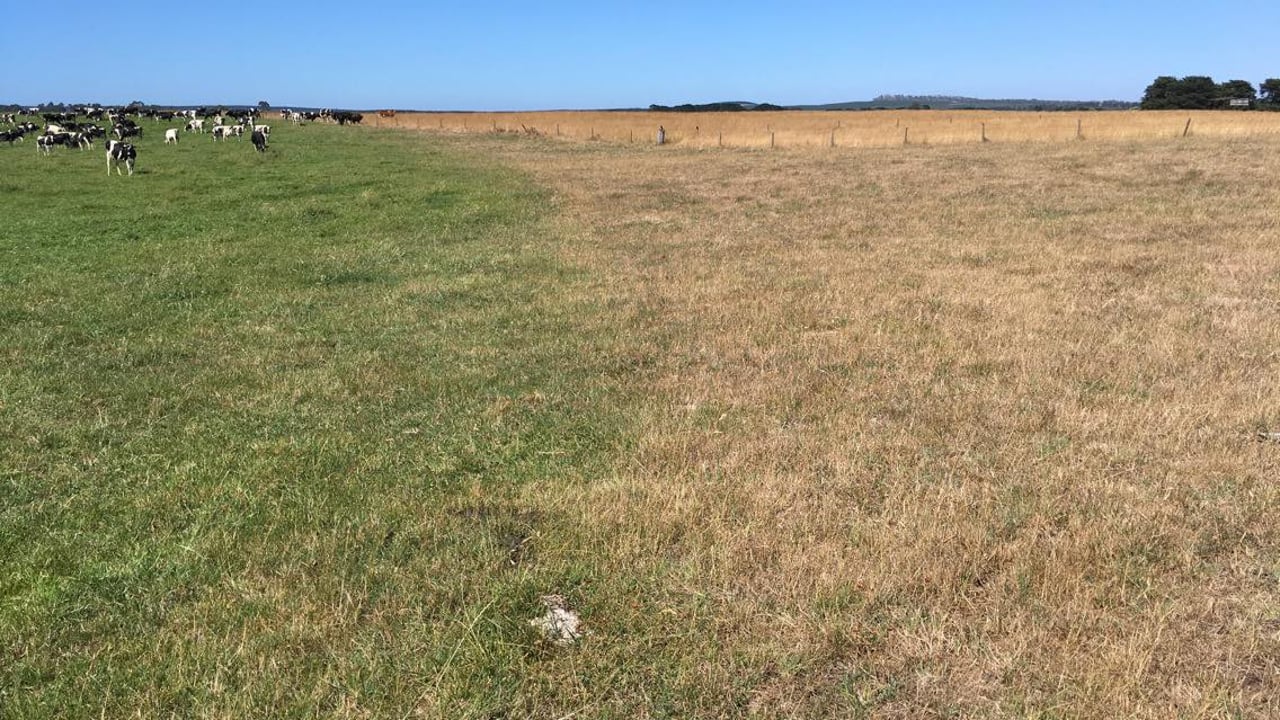 Australian farmers fear 'dud' trade deal with EU