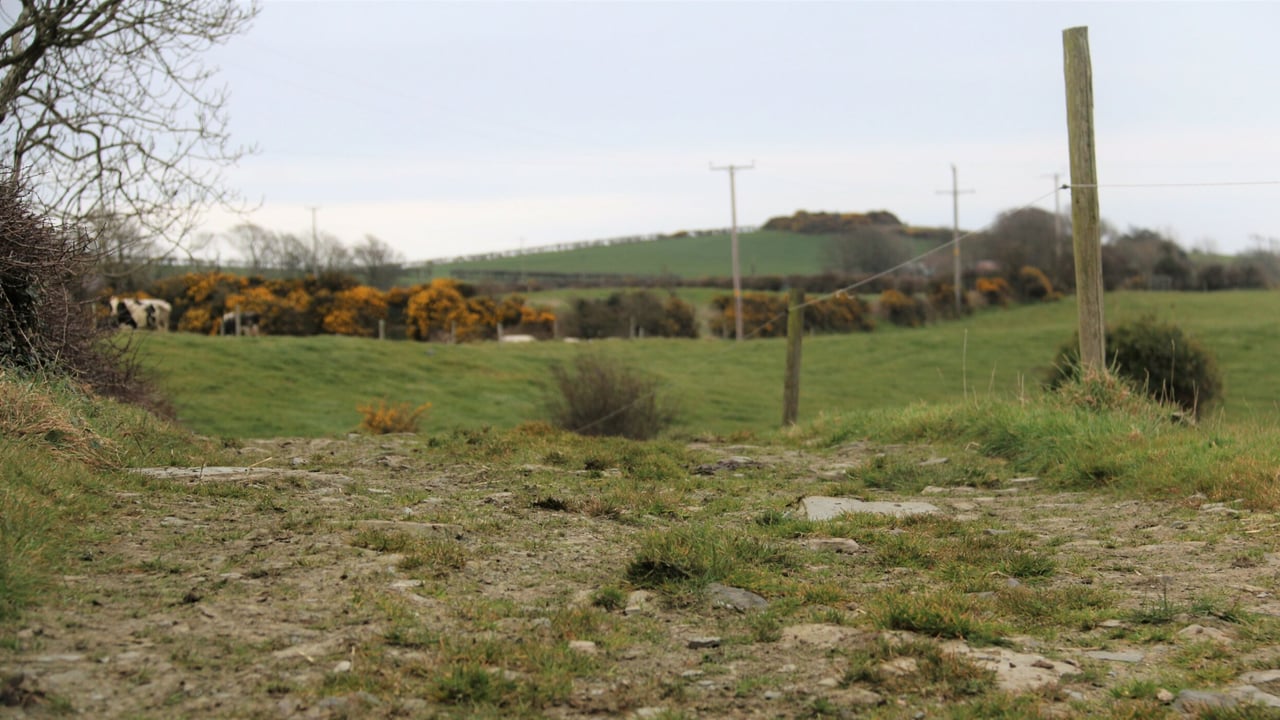 Environmental Farming Scheme open for applications
