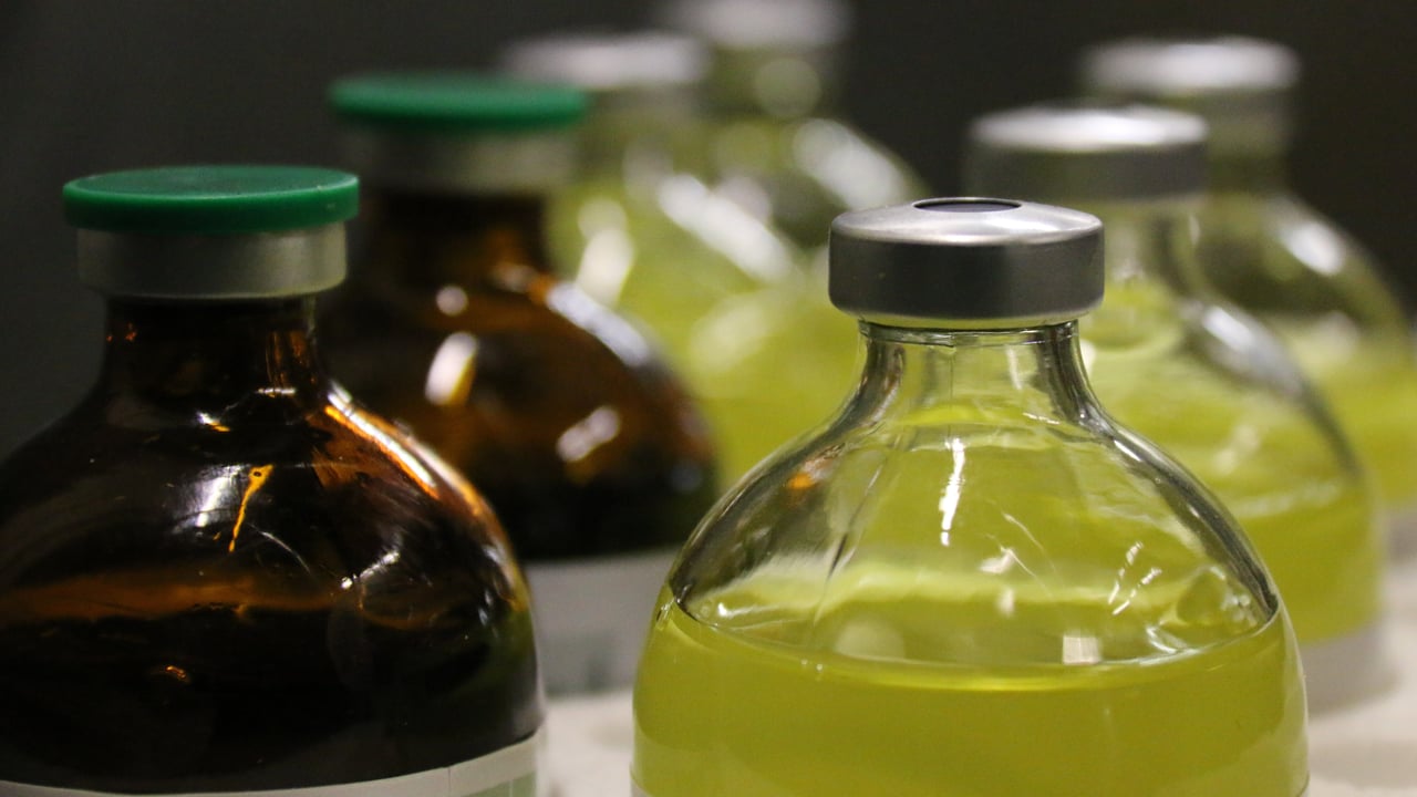 International dialogue to push for action on antimicrobial resistance