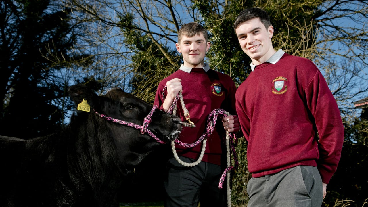 L-R: Mark Shorten and Conor Lehane from St. Brogan's College, Bandon, Co. Cork 