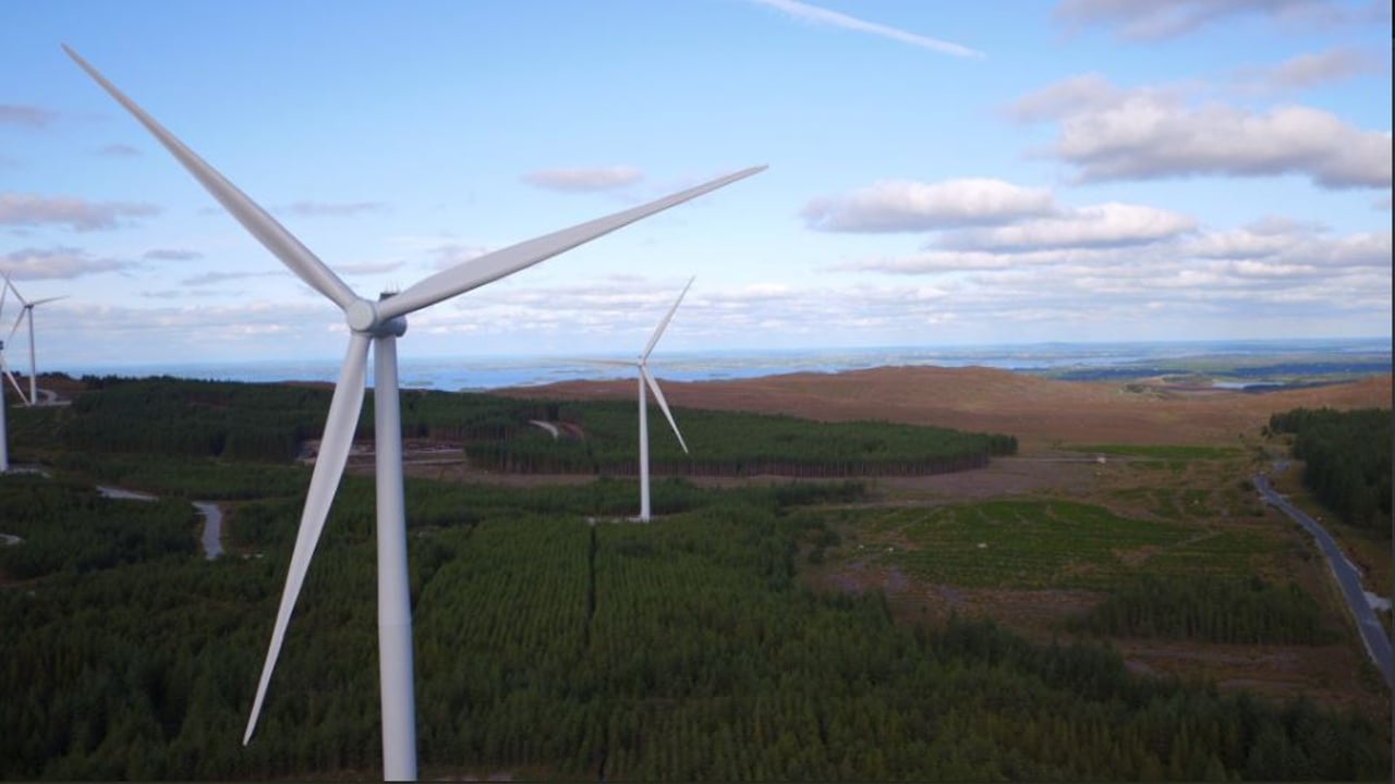 Image source: Coillte Twitter