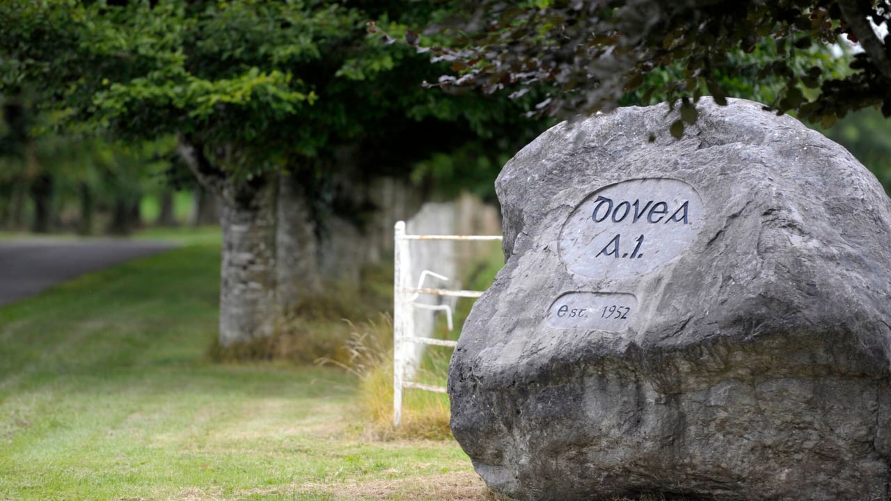 Dovea Genetics: The story so far