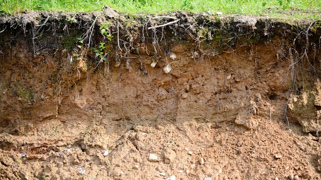 Soil compaction a potentially limiting factor on many farms