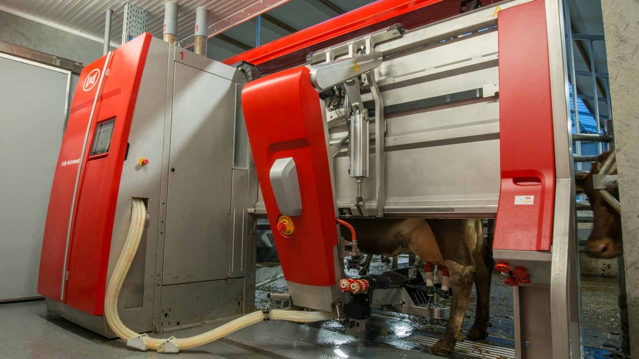 Lely to host 3 robotic milking open days this week