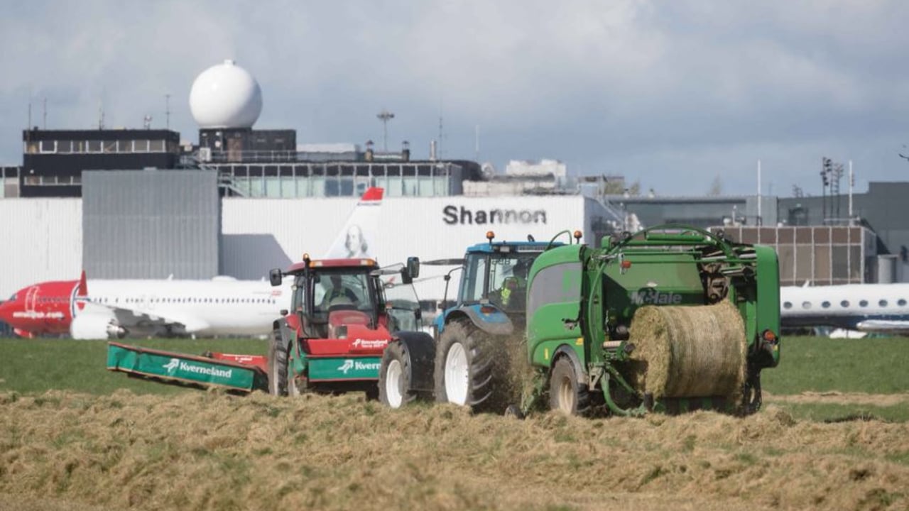 Silage operation at Shannon Airport bears over 1,250 bales