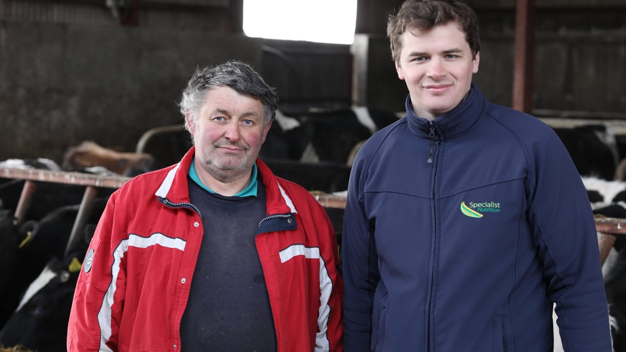 Open day and video: Liquid feeds increasing milk production by 20%