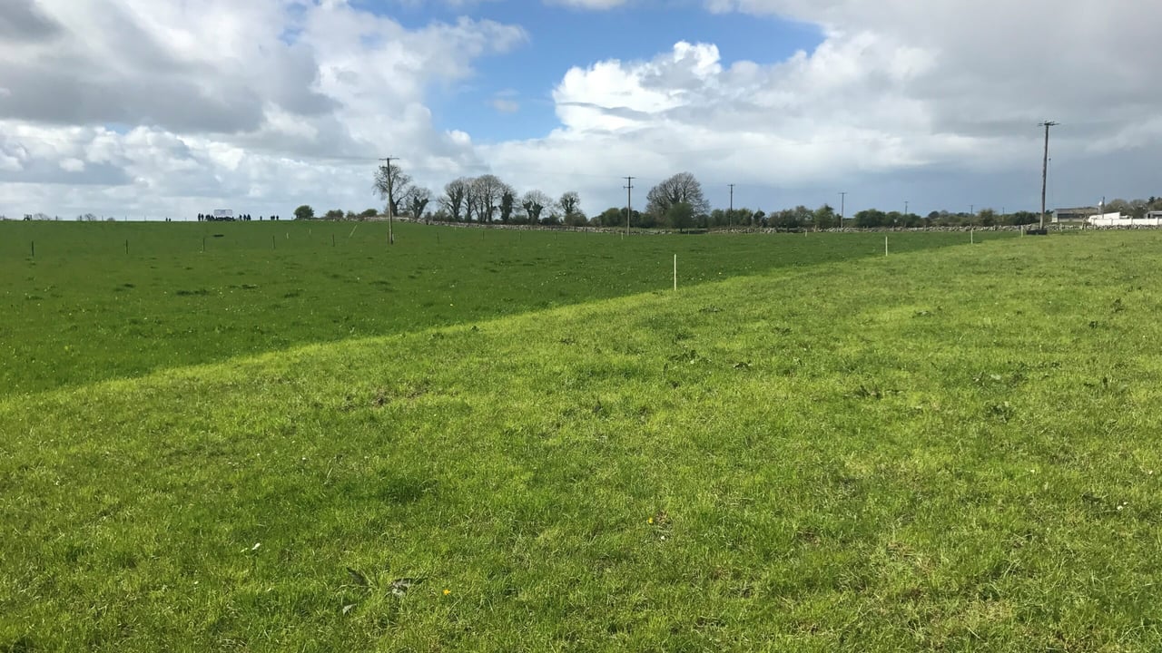 What size should my paddocks be and how many do I need?