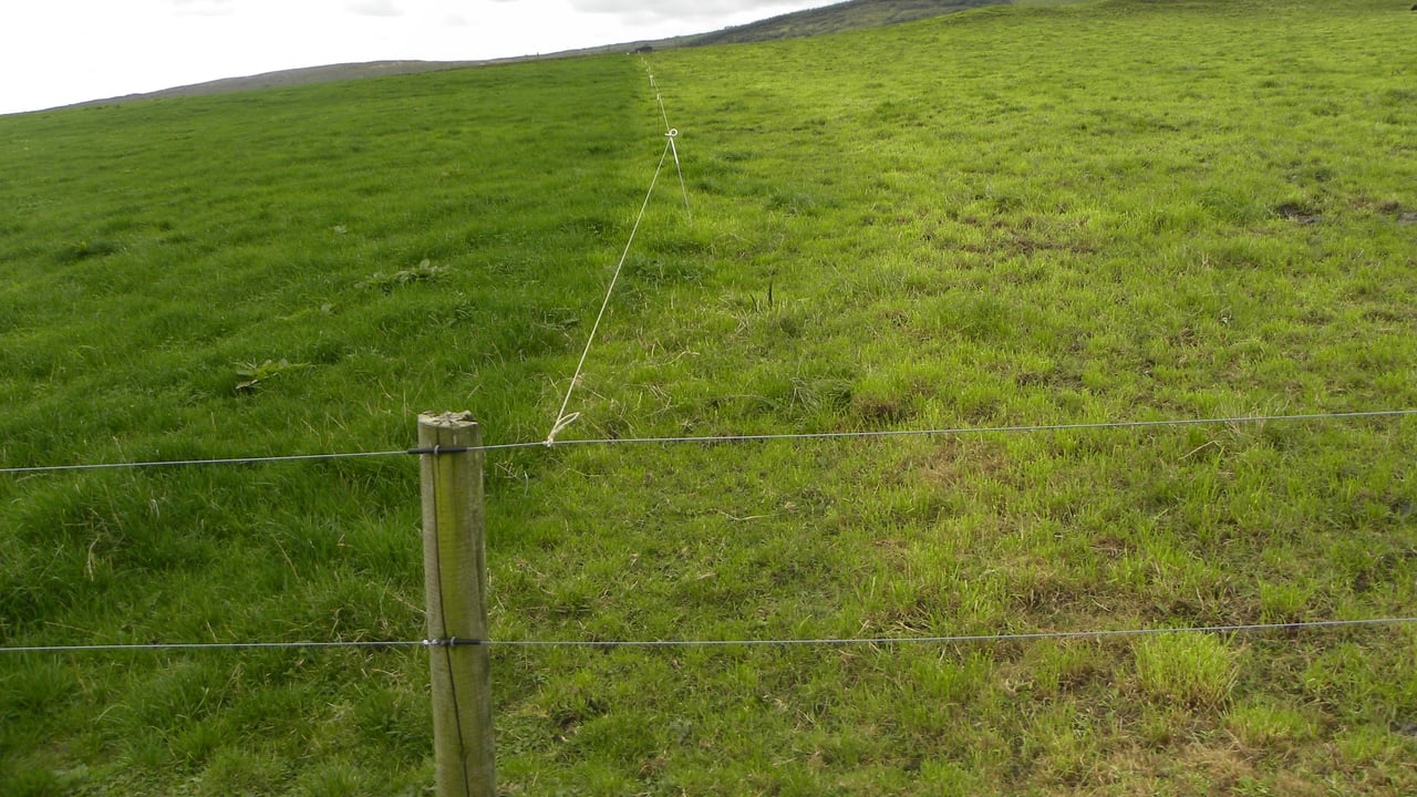 Concerns that creosote ban could impact TAMS fencing grants