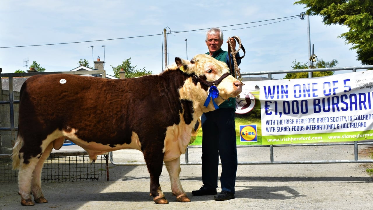 Michael Farrell with his sale-topper Castledaly King