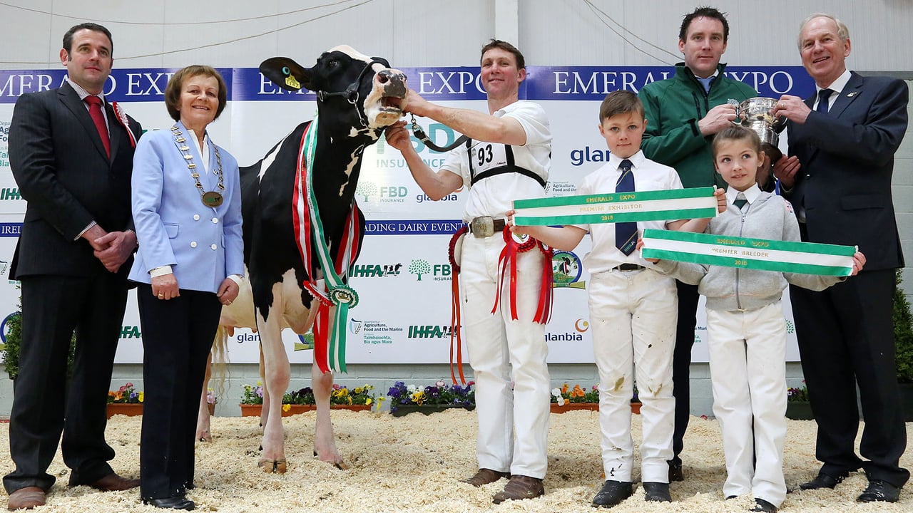 L-R: Judge, Ben Yates; IHFA president, Kathleen Watson; Emerald Expo FBD Insurance Champion, Allow Atwood Grace; Philip Jones with his children Will and Kate; FBD's Adrian Grimes; and the IHFA's Charles Gallagher.
