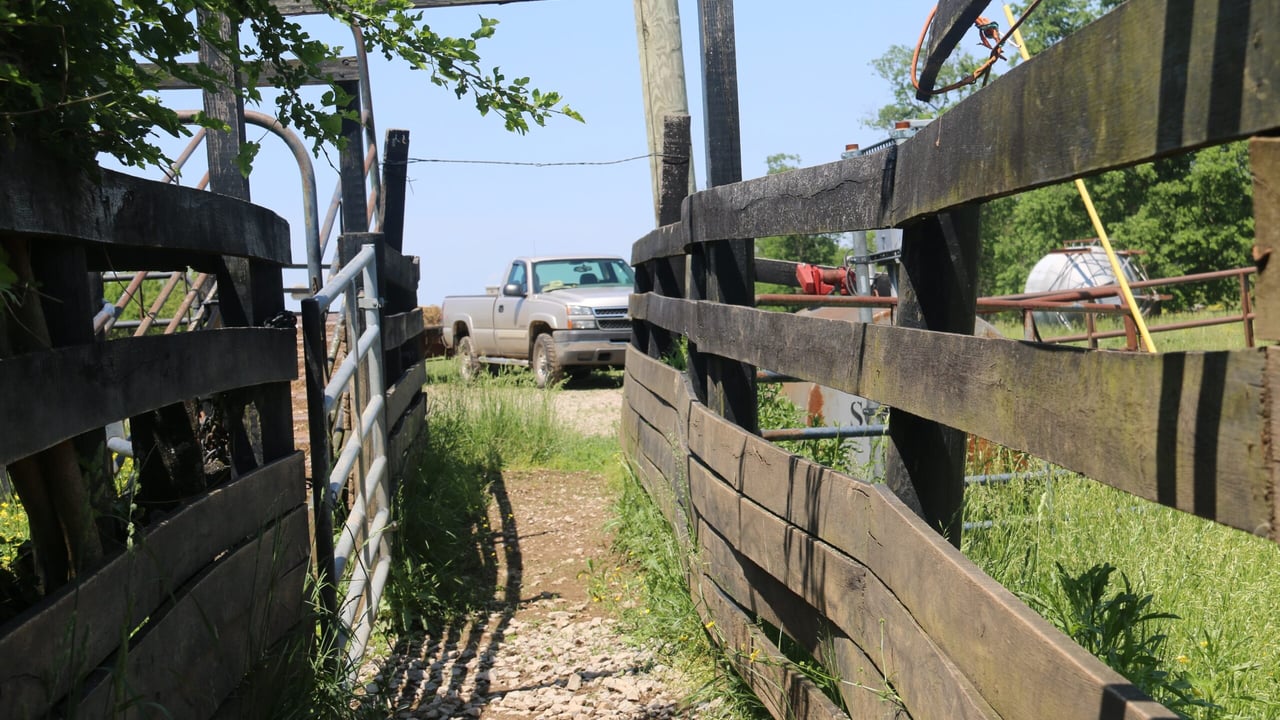 Beef, bourbon and bluegrass: Beef farming in Kentucky