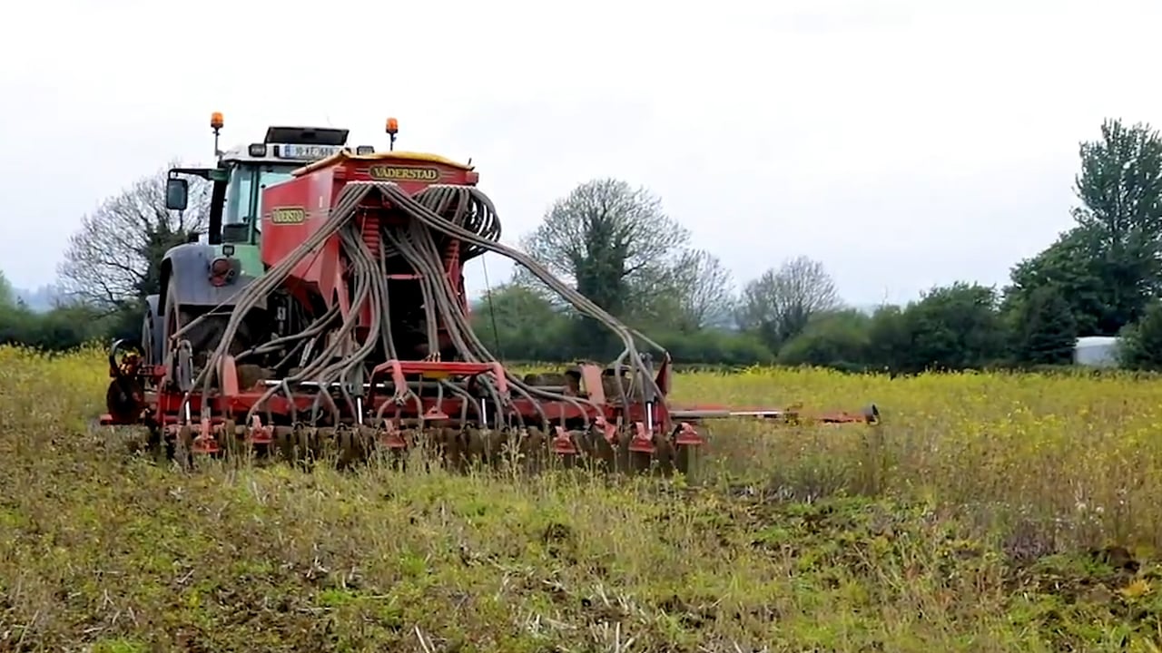 CROPS WATCH: Spring barley needs help early to reach potential
