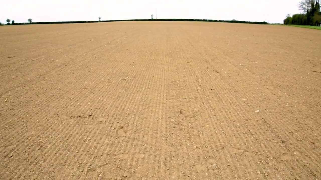 CROPS WATCH: Beet sown later than planned and early herbicide is essential
