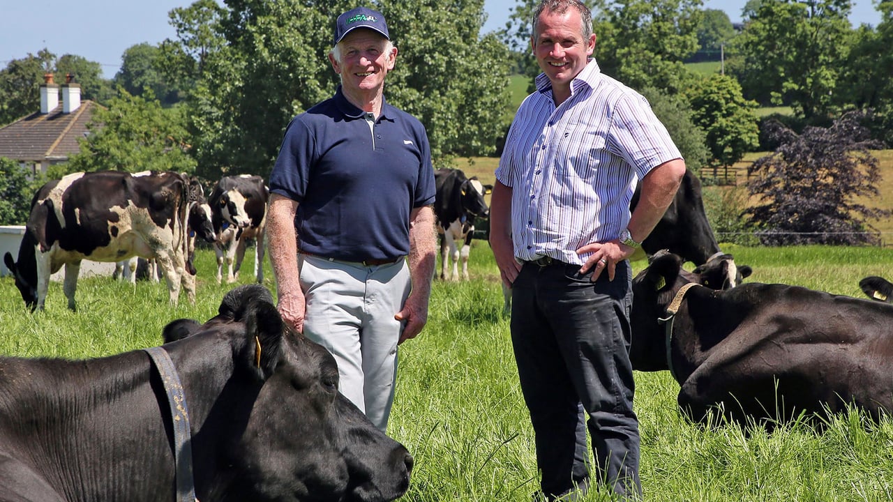 Leo Collins Snr and Leo Collins Jnr of Oldrose Herd, Co. Meath, hosts of the IHFA open day on Wednesday, July 4